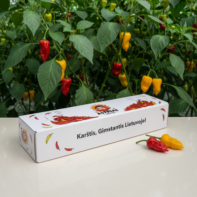 Hot Mini Sauces Set - From Fresh to Flaming - Complete 5-Sauce Set